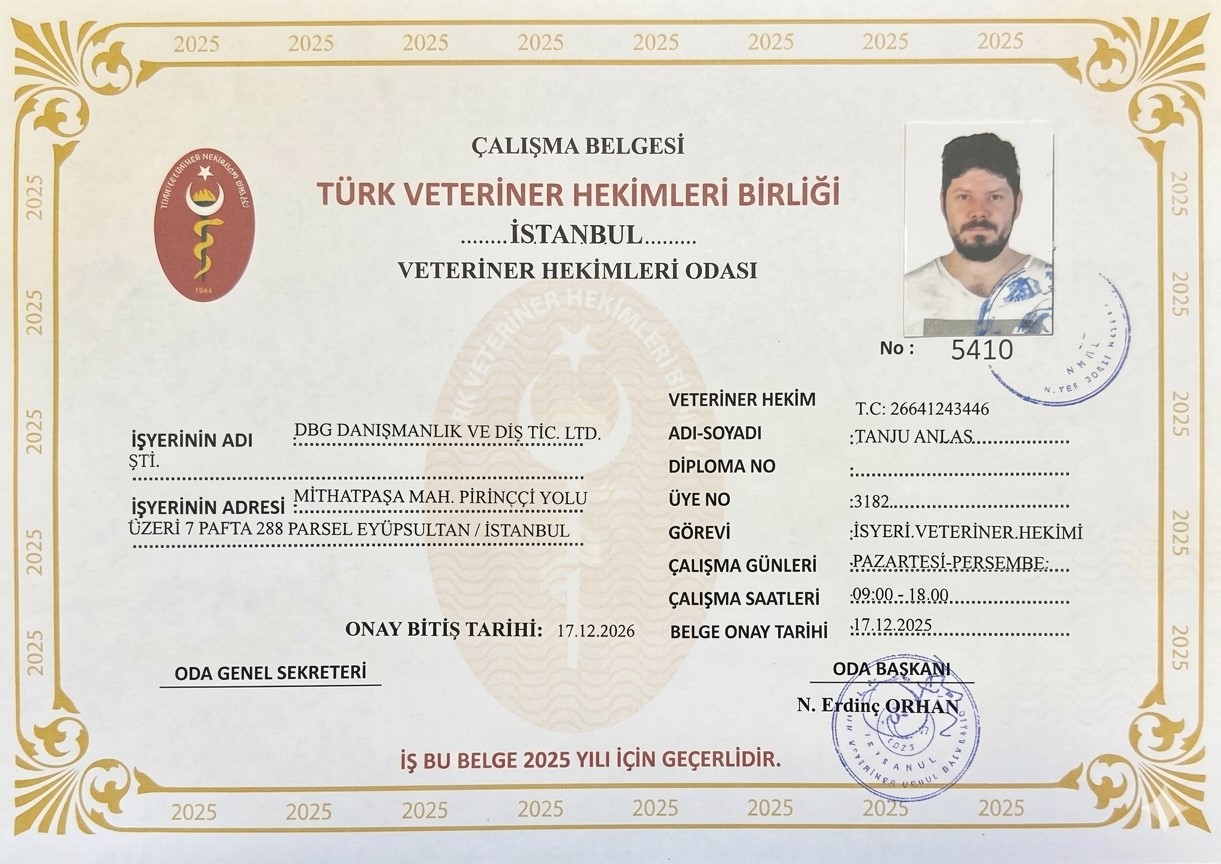 Sertifika 2