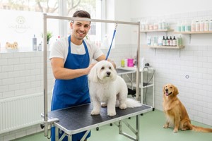 Pet Kuaför